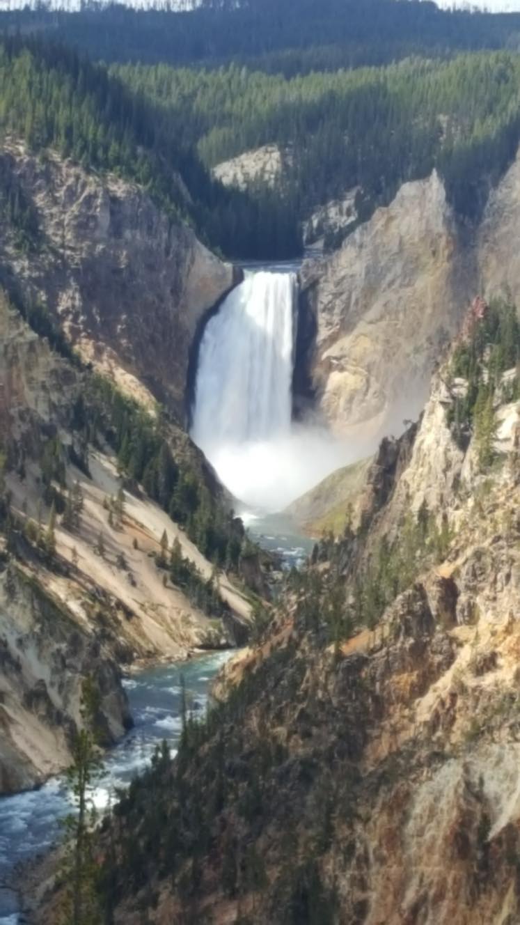 A waterfall in Yellowstone National Park